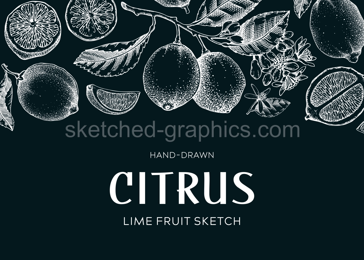 Lime fruit frame. Exotic plants design template. Citrus fruit sketches on chalkboard. Summer background. Hand drawn vector illustration. NOT AI generated Illustration